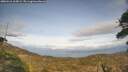 ./images/calvert/fitz-hugh-hecate/20260416/fitz-hugh-hecate20260416_165002M.jpg