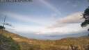 ./images/calvert/fitz-hugh-hecate/20260416/fitz-hugh-hecate20260416_170502M.jpg