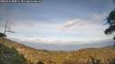 ./images/calvert/fitz-hugh-hecate/20260416/fitz-hugh-hecate20260416_180001M.jpg