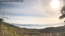 ./images/calvert/fitz-hugh-hecate/20260417/fitz-hugh-hecate20260417_095501M.jpg