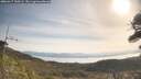 ./images/calvert/fitz-hugh-hecate/20260417/fitz-hugh-hecate20260417_100501M.jpg