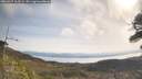 ./images/calvert/fitz-hugh-hecate/20260417/fitz-hugh-hecate20260417_103501M.jpg