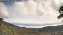 ./images/calvert/fitz-hugh-hecate/20260417/fitz-hugh-hecate20260417_105001M.jpg