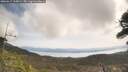 ./images/calvert/fitz-hugh-hecate/20260417/fitz-hugh-hecate20260417_110001M.jpg