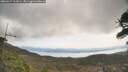 ./images/calvert/fitz-hugh-hecate/20260417/fitz-hugh-hecate20260417_111001M.jpg