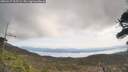 ./images/calvert/fitz-hugh-hecate/20260417/fitz-hugh-hecate20260417_112501M.jpg