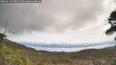 ./images/calvert/fitz-hugh-hecate/20260417/fitz-hugh-hecate20260417_113001M.jpg