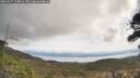 ./images/calvert/fitz-hugh-hecate/20260417/fitz-hugh-hecate20260417_114001M.jpg