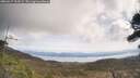 ./images/calvert/fitz-hugh-hecate/20260417/fitz-hugh-hecate20260417_114501M.jpg