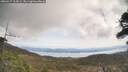 ./images/calvert/fitz-hugh-hecate/20260417/fitz-hugh-hecate20260417_115001M.jpg