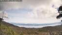 ./images/calvert/fitz-hugh-hecate/20260417/fitz-hugh-hecate20260417_120001M.jpg