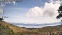 ./images/calvert/fitz-hugh-hecate/20260417/fitz-hugh-hecate20260417_121501M.jpg