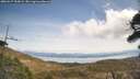 ./images/calvert/fitz-hugh-hecate/20260417/fitz-hugh-hecate20260417_122002M.jpg