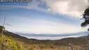 ./images/calvert/fitz-hugh-hecate/20260417/fitz-hugh-hecate20260417_123501M.jpg