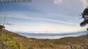 ./images/calvert/fitz-hugh-hecate/20260417/fitz-hugh-hecate20260417_125502M.jpg