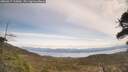 ./images/calvert/fitz-hugh-hecate/20260417/fitz-hugh-hecate20260417_133002M.jpg