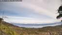 ./images/calvert/fitz-hugh-hecate/20260417/fitz-hugh-hecate20260417_133501M.jpg