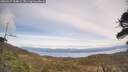 ./images/calvert/fitz-hugh-hecate/20260417/fitz-hugh-hecate20260417_134002M.jpg