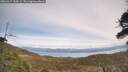 ./images/calvert/fitz-hugh-hecate/20260417/fitz-hugh-hecate20260417_134501M.jpg