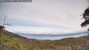 ./images/calvert/fitz-hugh-hecate/20260417/fitz-hugh-hecate20260417_140501M.jpg