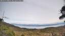 ./images/calvert/fitz-hugh-hecate/20260417/fitz-hugh-hecate20260417_145001M.jpg
