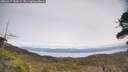 ./images/calvert/fitz-hugh-hecate/20260417/fitz-hugh-hecate20260417_150001M.jpg