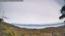 ./images/calvert/fitz-hugh-hecate/20260417/fitz-hugh-hecate20260417_150501M.jpg