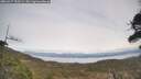 ./images/calvert/fitz-hugh-hecate/20260417/fitz-hugh-hecate20260417_152501M.jpg