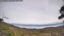 ./images/calvert/fitz-hugh-hecate/20260417/fitz-hugh-hecate20260417_153001M.jpg