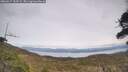 ./images/calvert/fitz-hugh-hecate/20260417/fitz-hugh-hecate20260417_153501M.jpg