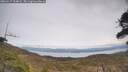./images/calvert/fitz-hugh-hecate/20260417/fitz-hugh-hecate20260417_154001M.jpg