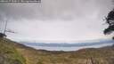 ./images/calvert/fitz-hugh-hecate/20260417/fitz-hugh-hecate20260417_155001M.jpg