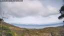 ./images/calvert/fitz-hugh-hecate/20260417/fitz-hugh-hecate20260417_162001M.jpg