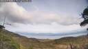 ./images/calvert/fitz-hugh-hecate/20260417/fitz-hugh-hecate20260417_163001M.jpg