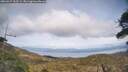 ./images/calvert/fitz-hugh-hecate/20260417/fitz-hugh-hecate20260417_163501M.jpg