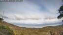 ./images/calvert/fitz-hugh-hecate/20260417/fitz-hugh-hecate20260417_170002M.jpg