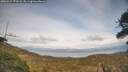 ./images/calvert/fitz-hugh-hecate/20260417/fitz-hugh-hecate20260417_171002M.jpg