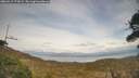 ./images/calvert/fitz-hugh-hecate/20260417/fitz-hugh-hecate20260417_172001M.jpg