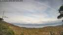 ./images/calvert/fitz-hugh-hecate/20260417/fitz-hugh-hecate20260417_173501M.jpg