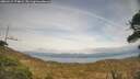 ./images/calvert/fitz-hugh-hecate/20260417/fitz-hugh-hecate20260417_174001M.jpg