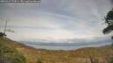 ./images/calvert/fitz-hugh-hecate/20260417/fitz-hugh-hecate20260417_175001M.jpg