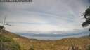 ./images/calvert/fitz-hugh-hecate/20260417/fitz-hugh-hecate20260417_175501M.jpg
