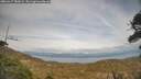 ./images/calvert/fitz-hugh-hecate/20260417/fitz-hugh-hecate20260417_180002M.jpg