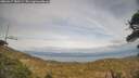 ./images/calvert/fitz-hugh-hecate/20260417/fitz-hugh-hecate20260417_180501M.jpg