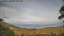 ./images/calvert/fitz-hugh-hecate/20260417/fitz-hugh-hecate20260417_184501M.jpg