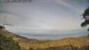 ./images/calvert/fitz-hugh-hecate/20260417/fitz-hugh-hecate20260417_185501M.jpg