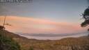 ./images/calvert/fitz-hugh-hecate/20260417/fitz-hugh-hecate20260417_203001M.jpg