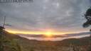 ./images/calvert/fitz-hugh-hecate/20260418/fitz-hugh-hecate20260418_064501M.jpg