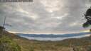 ./images/calvert/fitz-hugh-hecate/20260418/fitz-hugh-hecate20260418_072501M.jpg