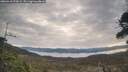 ./images/calvert/fitz-hugh-hecate/20260418/fitz-hugh-hecate20260418_074501M.jpg